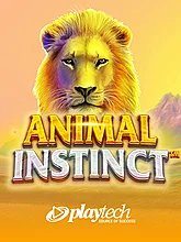Playtech image 18
