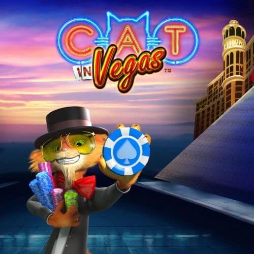 Playtech image 84